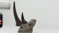 文遺保護(hù).gif